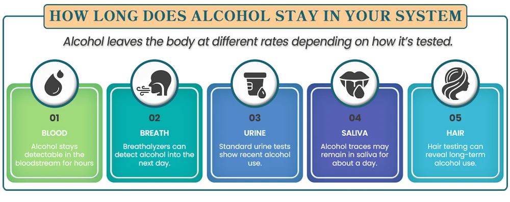 how-long-does-alcohol-stay-in-your-system