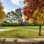 outside-in-the-fall