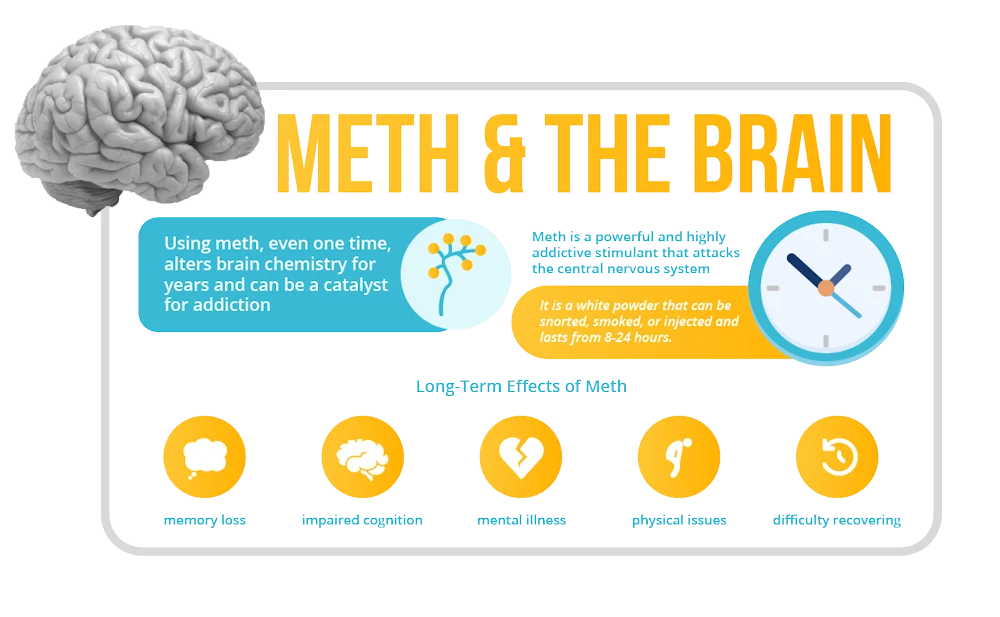 what does meth do to the brain infographics what does meth do to the brain infographics