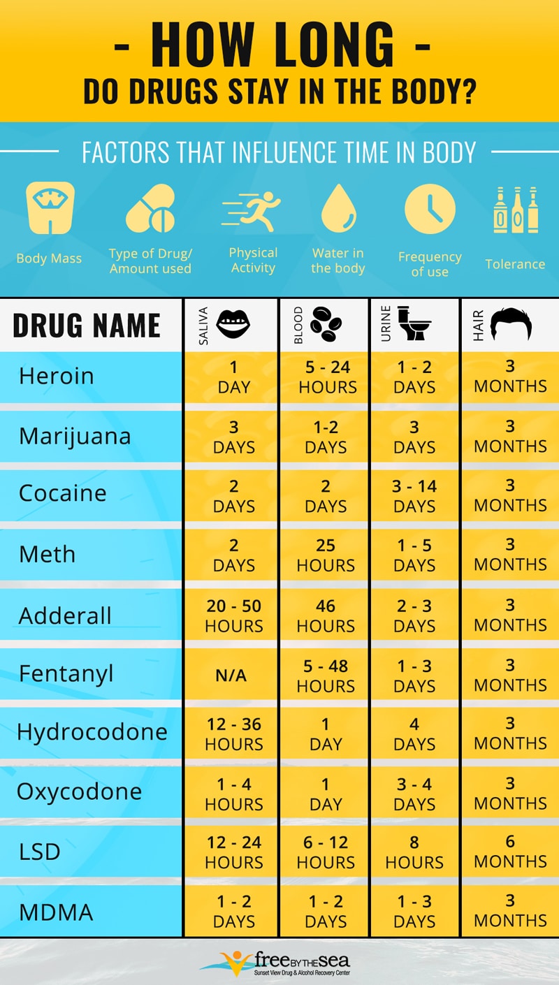 how long drugs stay in your system info graphic